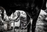 A scene in a mundari cattle camp-III - South Sudan Poster och Canvastavla