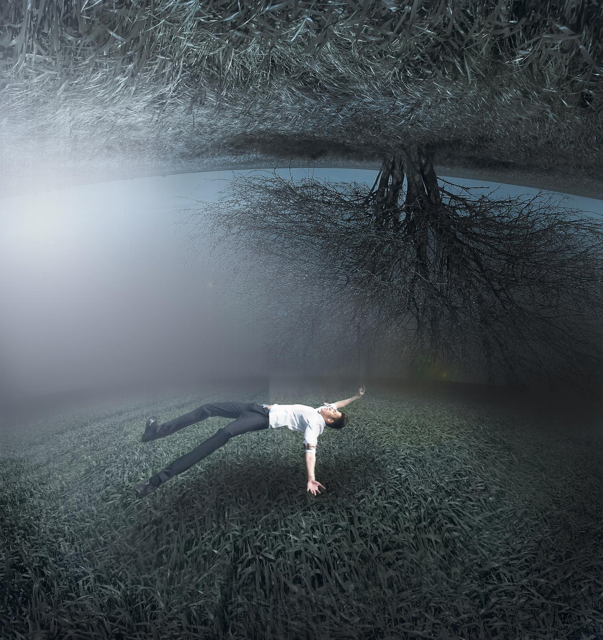 The nightmare Poster och Canvastavla