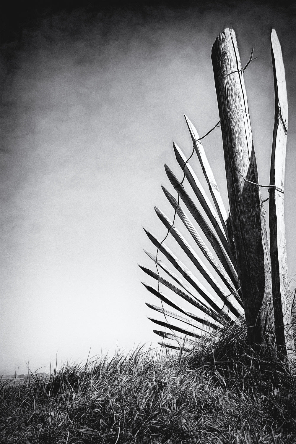 No (of)fence in the dunes Poster och Canvastavla