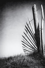 No (of)fence in the dunes Poster och Canvastavla