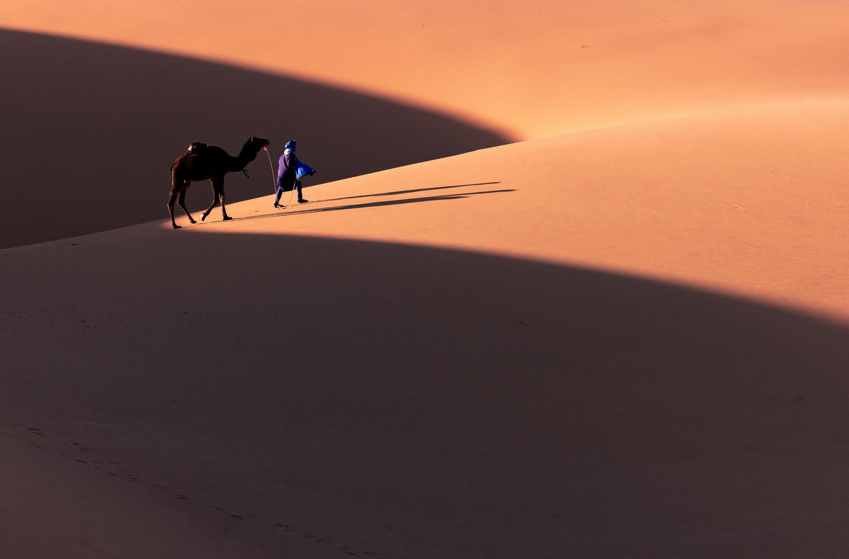 Morning Activity Poster och Canvastavla