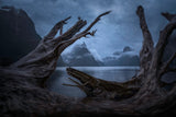 Milford Sound Poster och Canvastavla