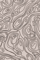 Iso Lines Pattern Poster och Canvastavla