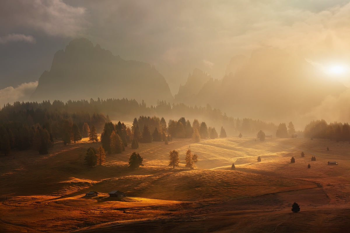 Morning on alpine meadow Poster och Canvastavla