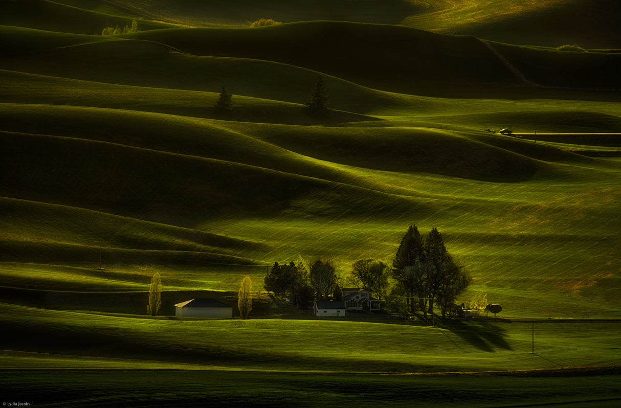 Green Farmland Poster och Canvastavla