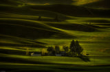 Green Farmland Poster och Canvastavla