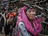 Rohingya refugee woman carrying some wood - Bangladesh Poster och Canvastavla