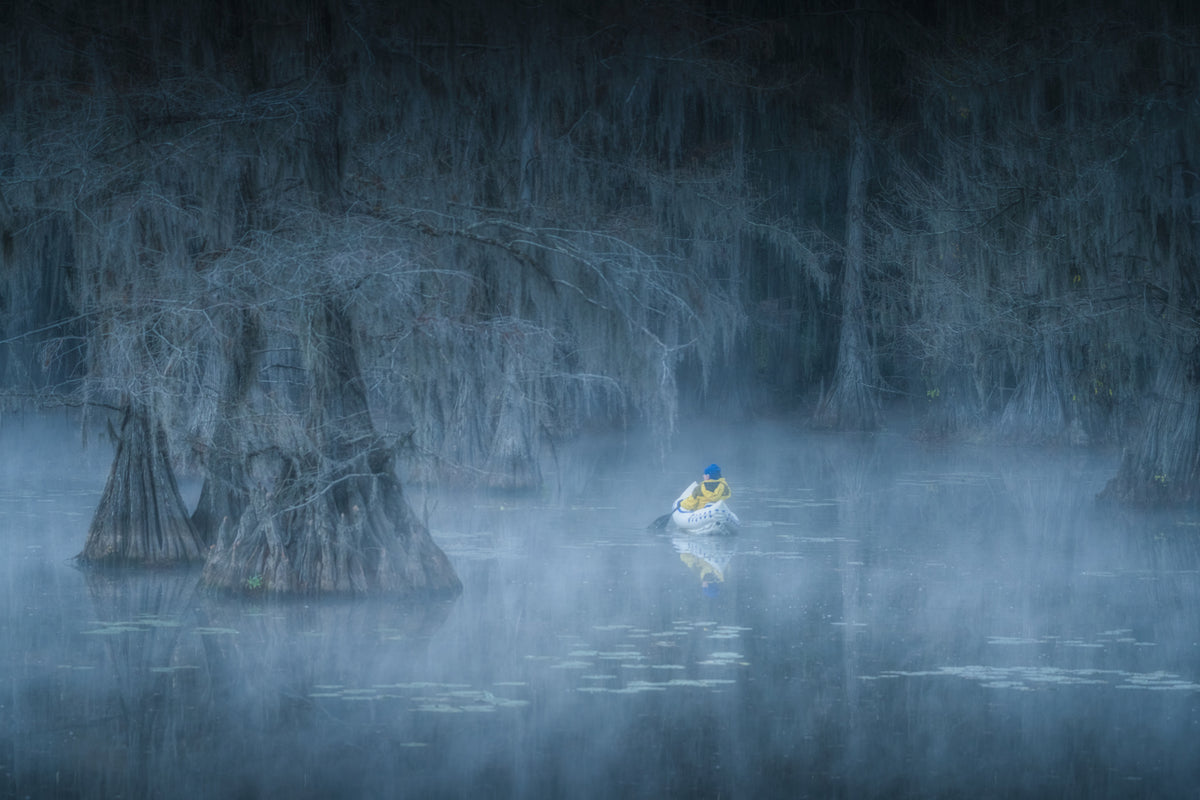 Caddo Lake Poster och Canvastavla