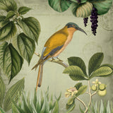 Vintage Birds 2 Poster och Canvastavla