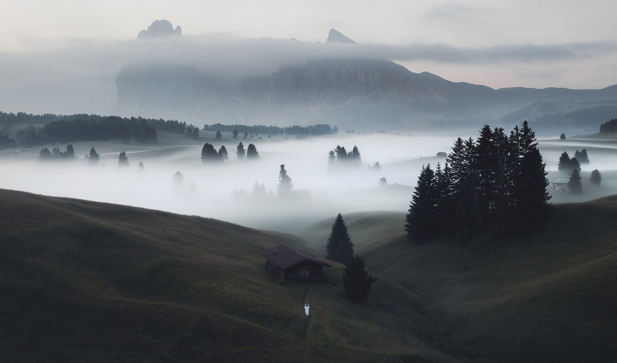 A mystical morning Poster och Canvastavla