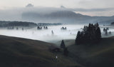 A mystical morning Poster och Canvastavla