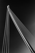Lines Poster och Canvastavla
