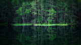 Green World Poster och Canvastavla