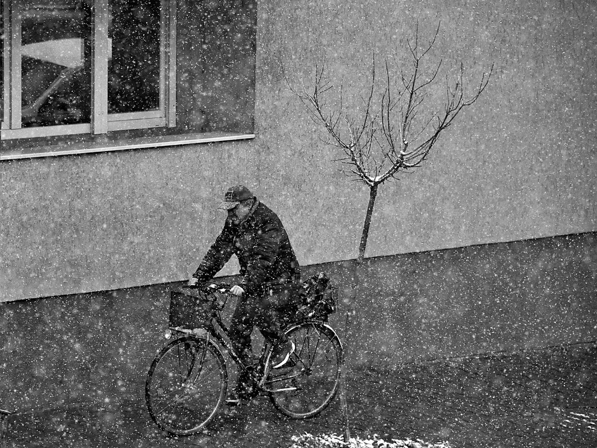 winter passengers Poster och Canvastavla