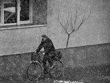 winter passengers Poster och Canvastavla