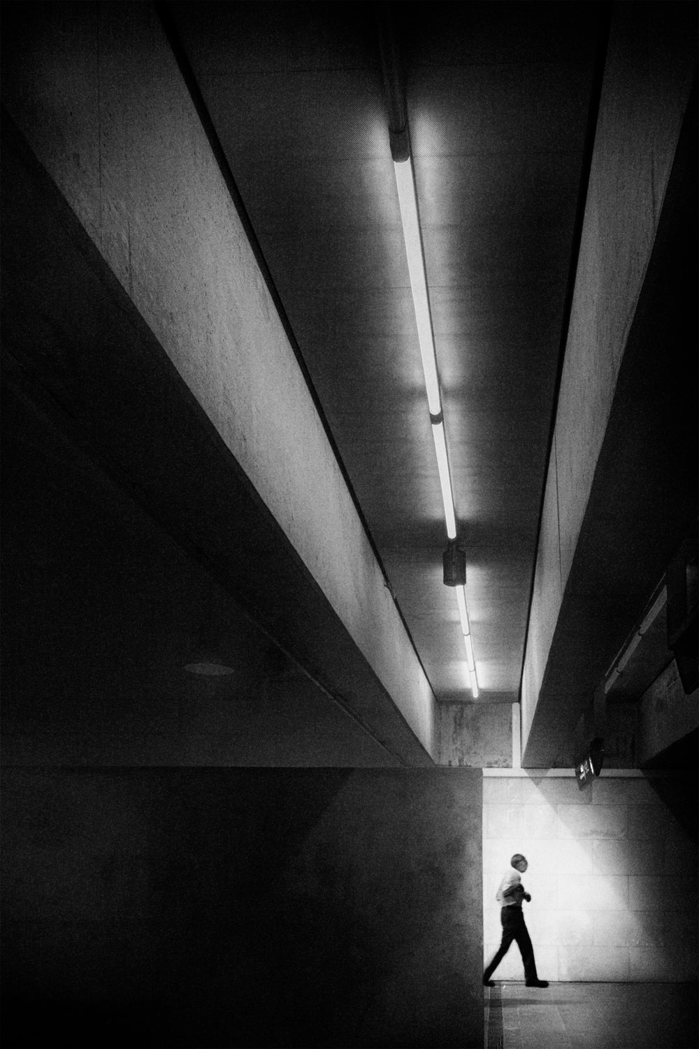 Light, Now Poster och Canvastavla