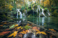 Autumn Falls Poster och Canvastavla