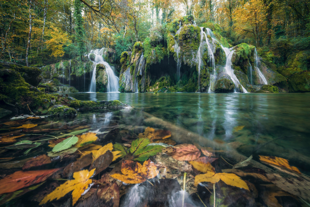 Autumn Falls Poster och Canvastavla