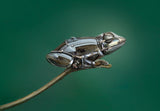 Frog Poster och Canvastavla