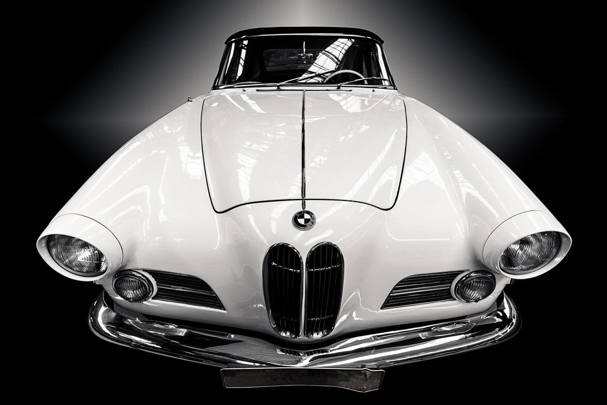 The Cabriolet Poster och Canvastavla