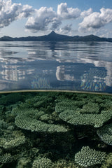 Choungui by the sea Poster och Canvastavla