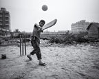 Street cricket Poster och Canvastavla