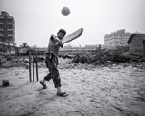 Street cricket Poster och Canvastavla