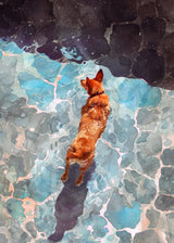 Dog's life 1 Poster och Canvastavla