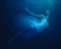 Waterplay ballet 2 Poster och Canvastavla