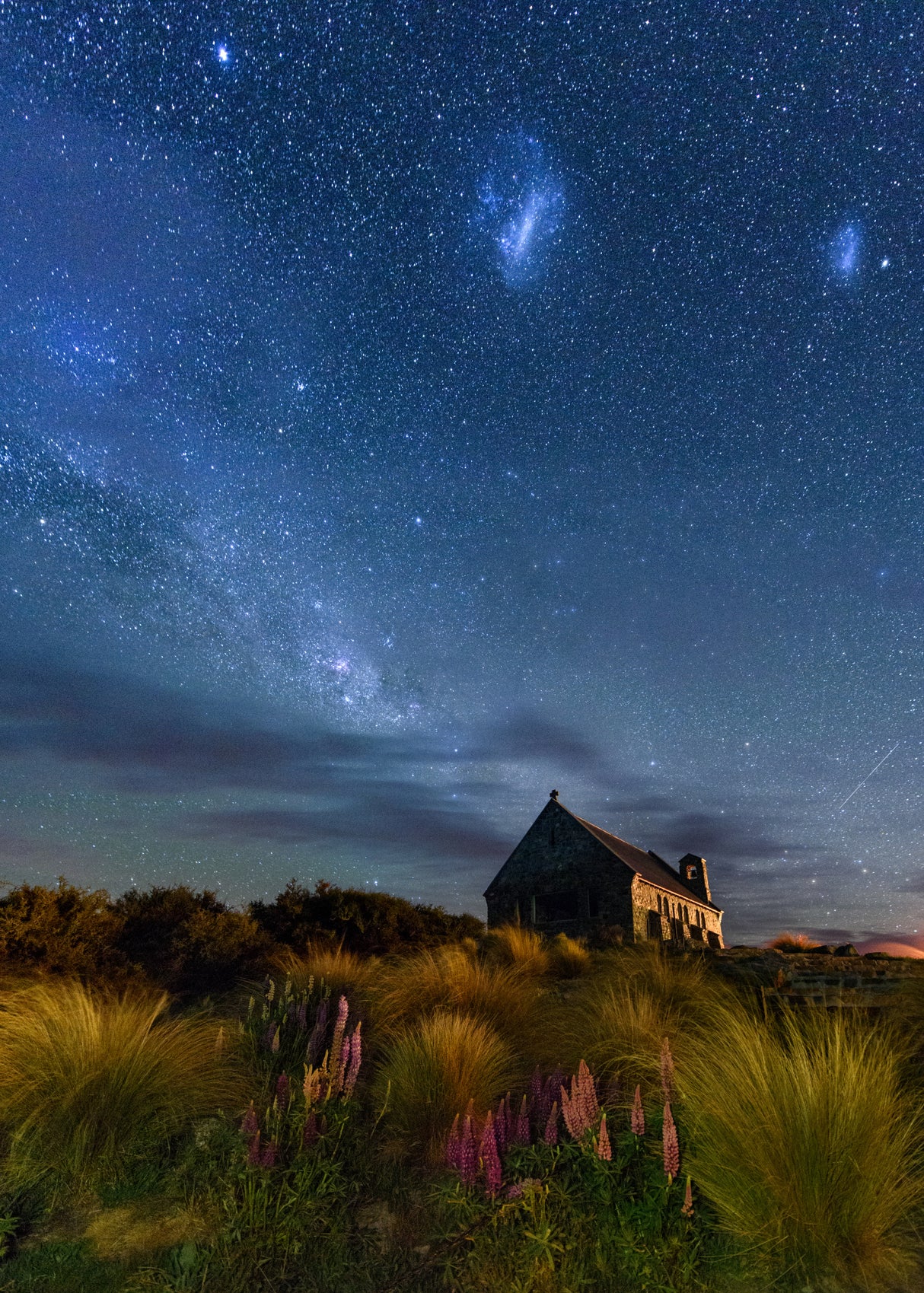 Lupins Milkway of Lake Tekapo Poster och Canvastavla