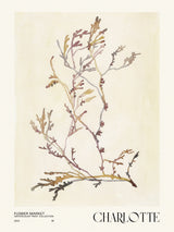 Watercolor print collection. Flower market - Charlotte Poster och Canvastavla