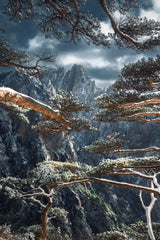 Yellow mountain Poster och Canvastavla