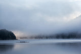 silent morning Poster och Canvastavla