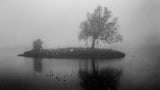 A little island in the fog Poster och Canvastavla