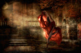 Touch the light glow, to wash your soul.... Poster och Canvastavla