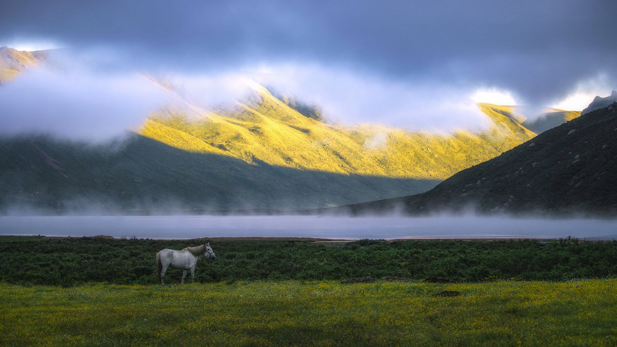The morning of the lake Poster och Canvastavla