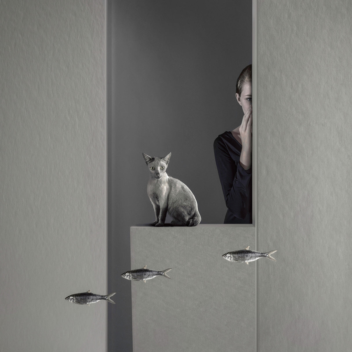Who moved my fish  ( epilogue ) Poster och Canvastavla