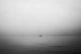 Sail Poster och Canvastavla