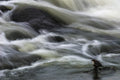 Flowing Contemplation Poster och Canvastavla
