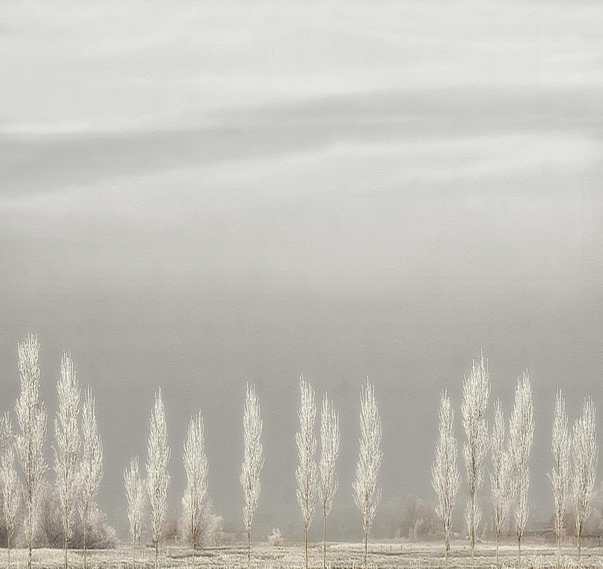 Silent World Poster och Canvastavla