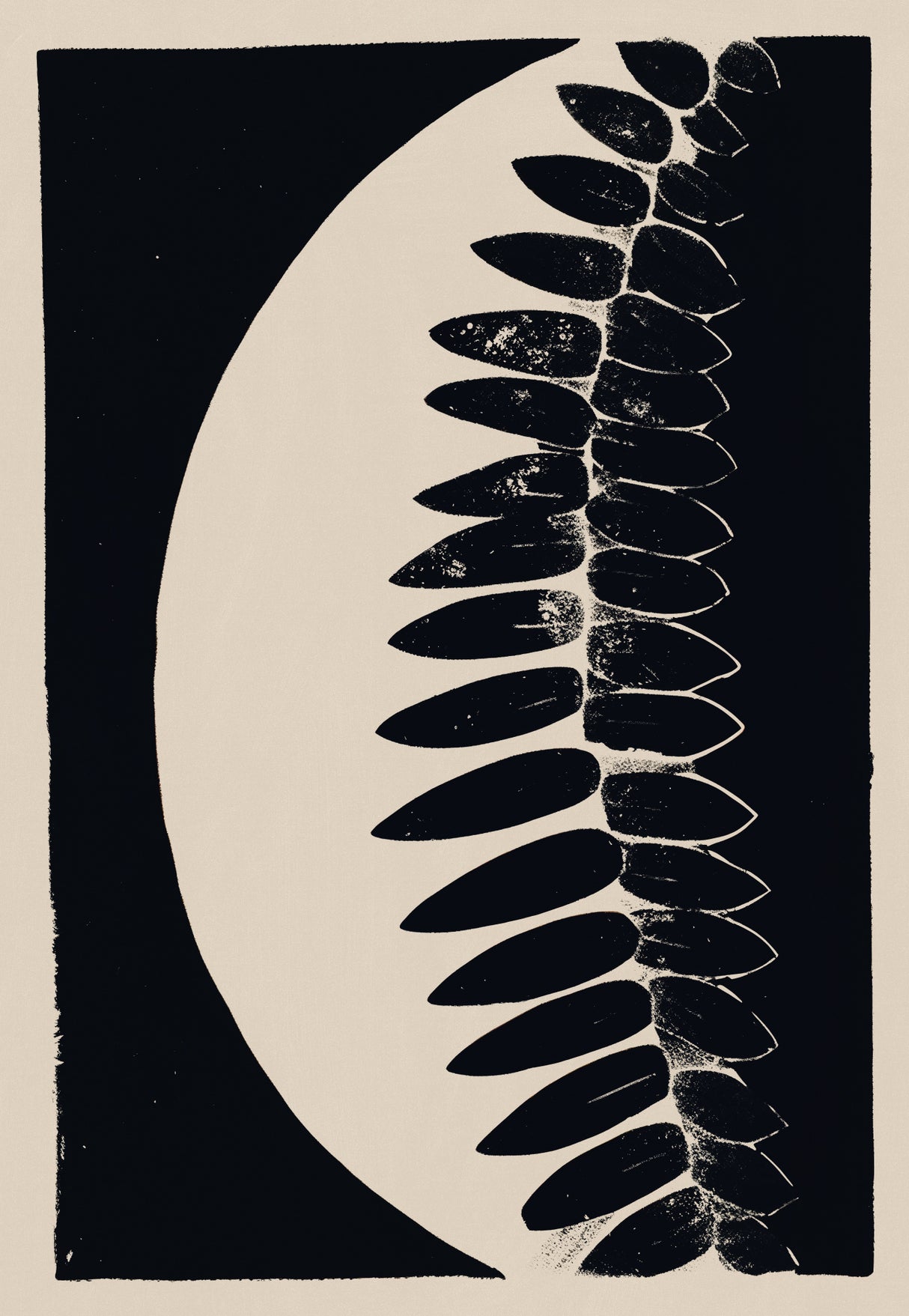Night Shade Poster och Canvastavla