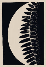 Night Shade Poster och Canvastavla