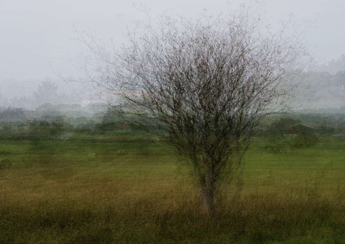 What remains Poster och Canvastavla