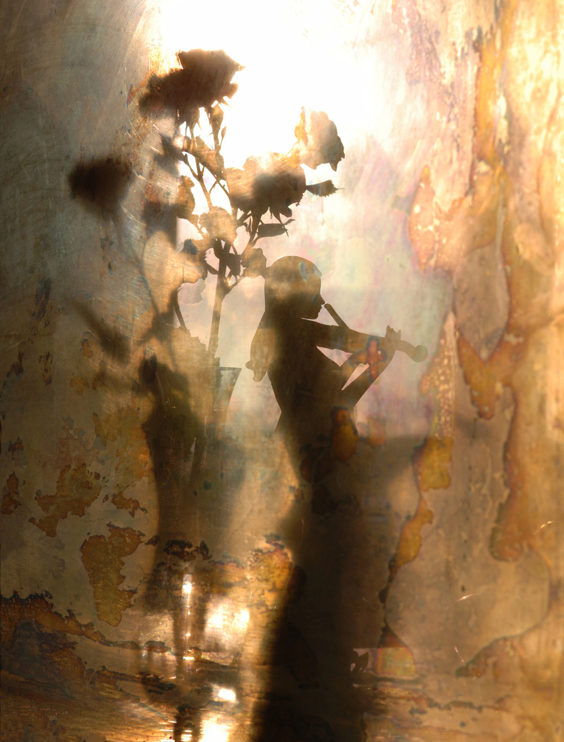 Music of light and shadow Poster och Canvastavla