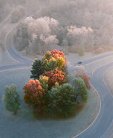 Frosty Autumn Morning Poster och Canvastavla