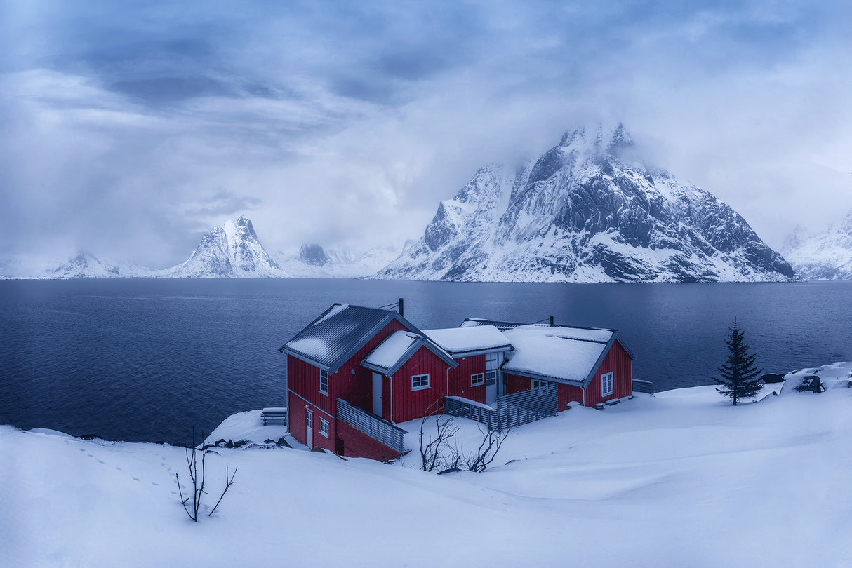 Winter Fairyland Poster och Canvastavla