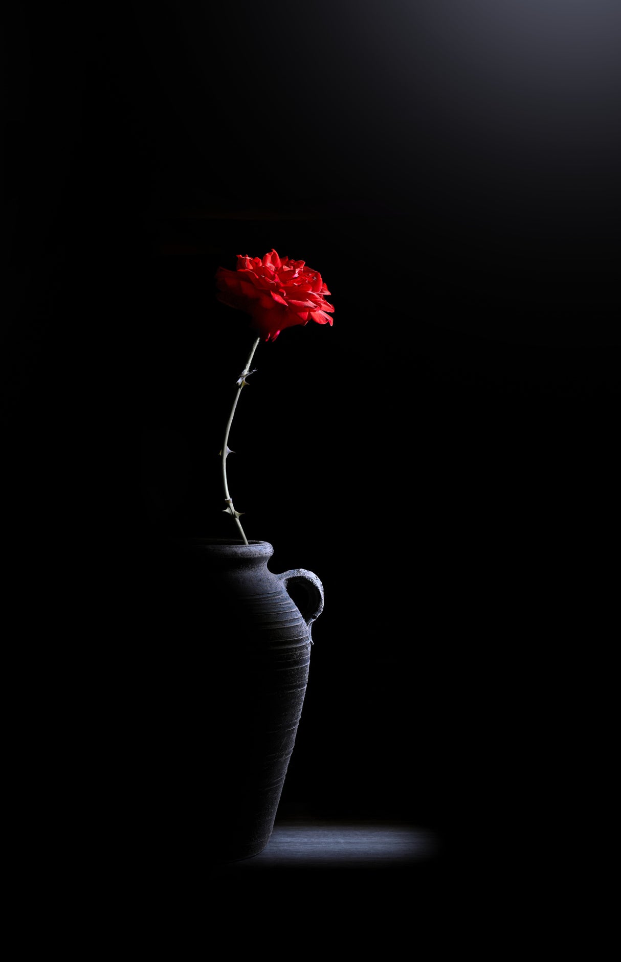 still life Poster och Canvastavla