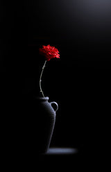 still life Poster och Canvastavla