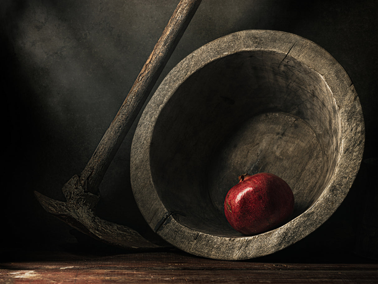 Plate and hoe. Poster och Canvastavla