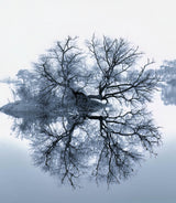 The beauty of natural world ! Poster och Canvastavla
